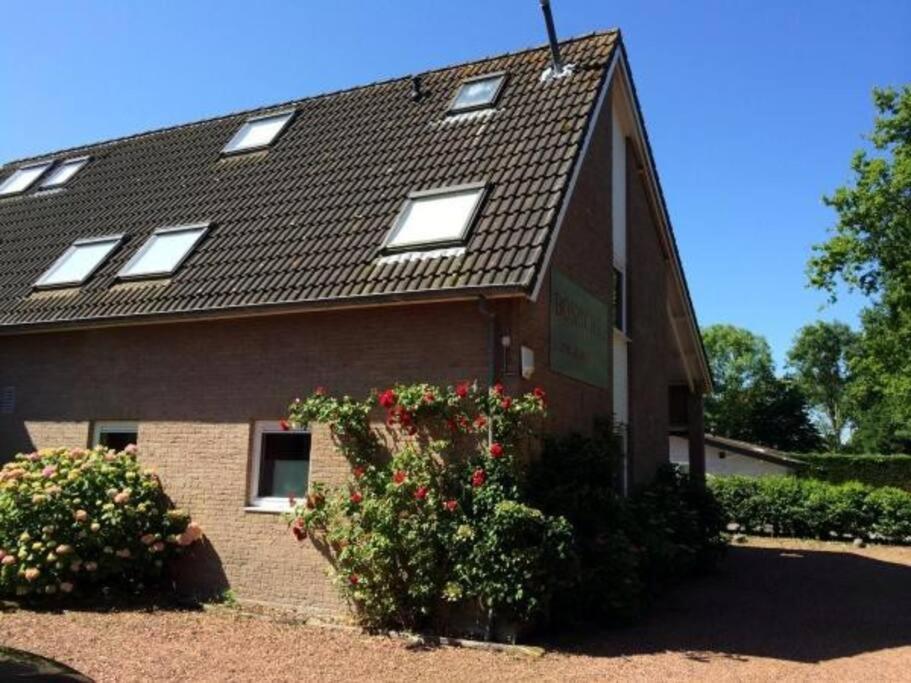 Boszicht 3 Appartement In Oostkapelle Esterno foto